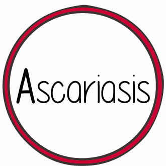 Ascaris lumbricoides