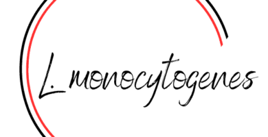 L. monocytogenes