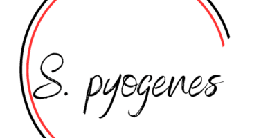 S. pyogenes