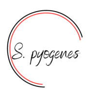 S. pyogenes